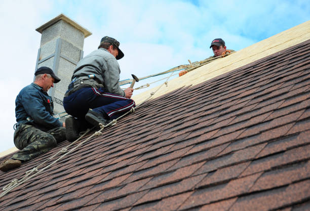 Best Tile Roofing Contractor  in Crewe, VA