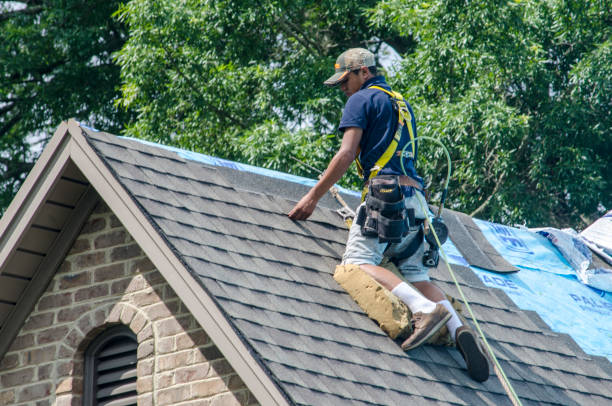 Best Storm Damage Roof Repair  in Crewe, VA